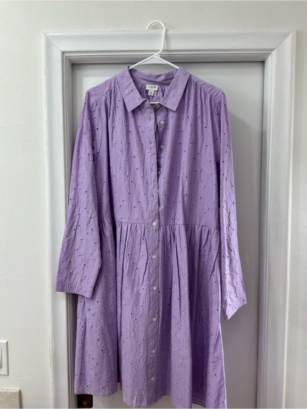 J. Crew Lavender Eyelet Long-Sleeve Button Dress